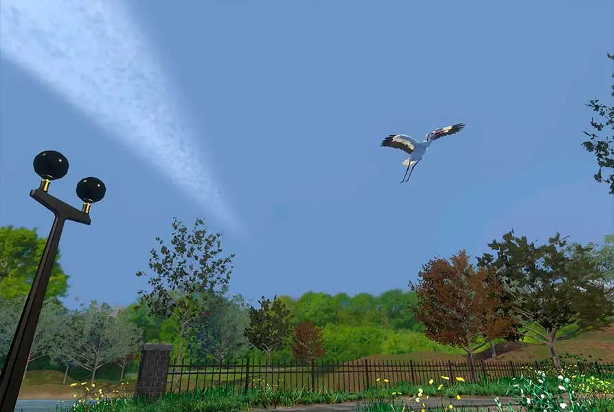 VR Therapie bei Depression: Park Szenario - Reiher