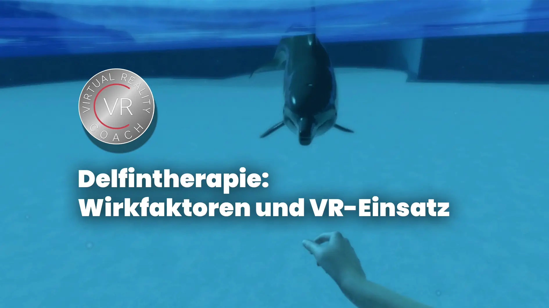 Delfintherapie: Wirkfaktoren und VR-Einsatz