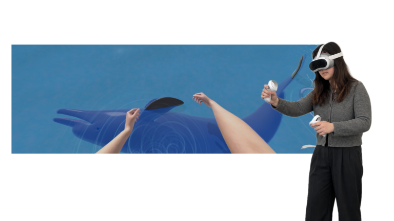Patient wearing a VR headset and controllers; in the VR view, virtual hands touch the back of a dolphin, which then rotates